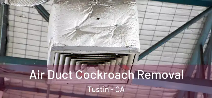Air Duct Cockroach Removal Tustin - CA