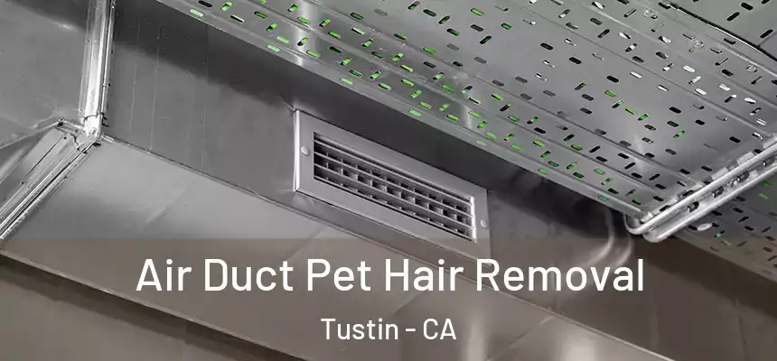 Air Duct Pet Hair Removal Tustin - CA