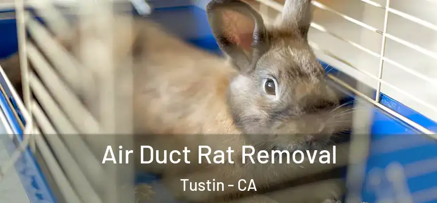 Air Duct Rat Removal Tustin - CA