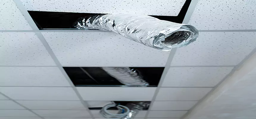 Affordable HVAC Sanitizing After Pest Removal in Tustin