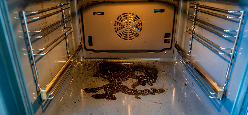 Our Dryer Vent Mold Cleaning Services in Tustin, CA