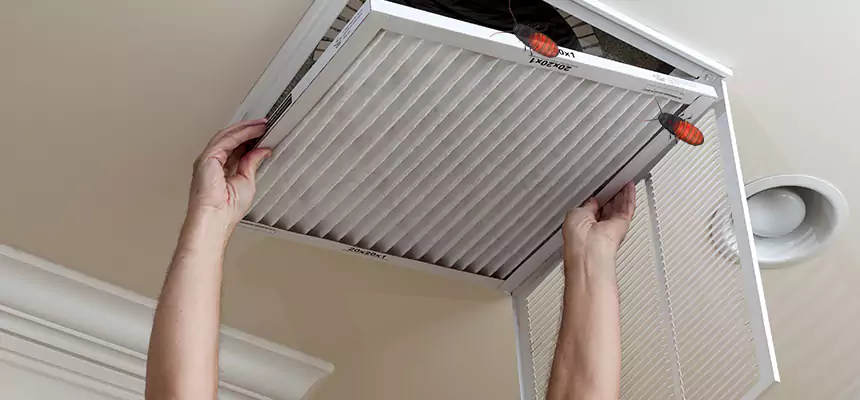 Our Insect Removal from Air Ducts Services in Tustin, CA