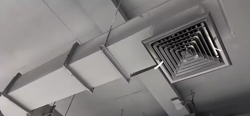 Our Pest Removal From Ducts Services in Tustin, CA