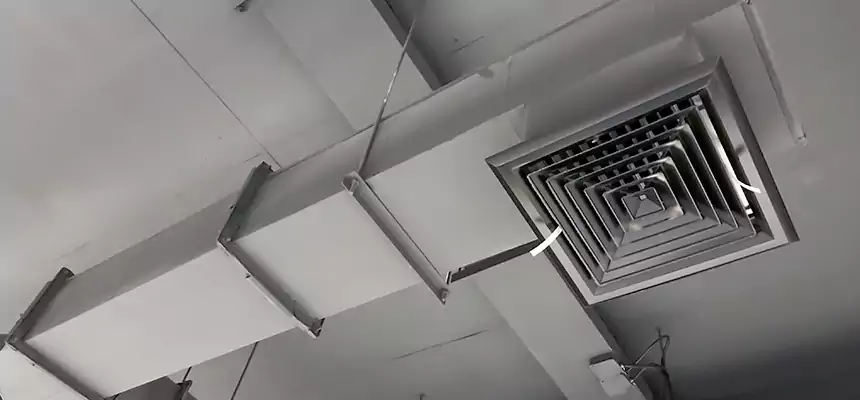 Our Rodent Droppings In Vents Services in Tustin, CA