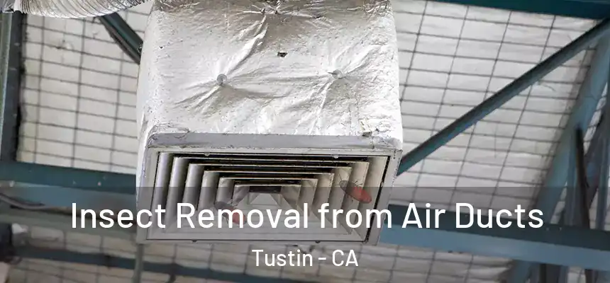 Insect Removal from Air Ducts Tustin - CA