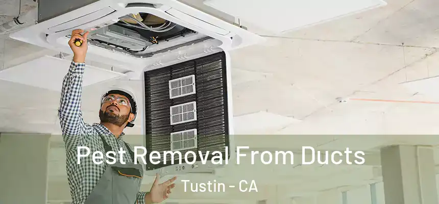 Pest Removal From Ducts Tustin - CA