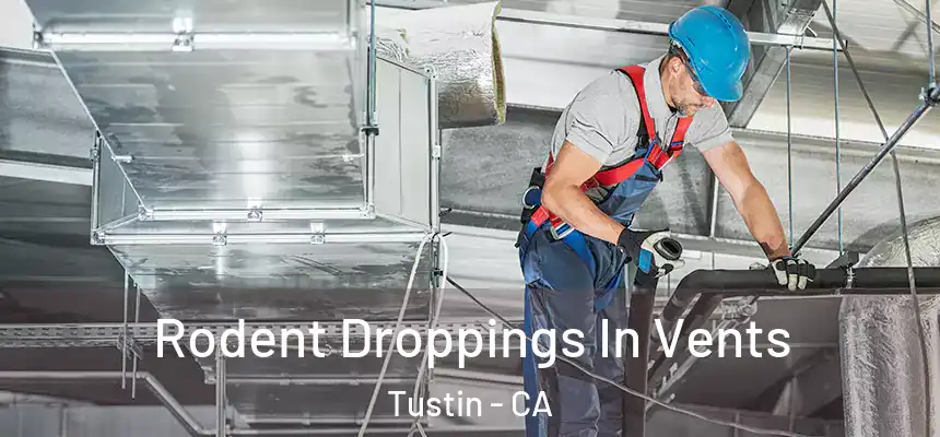 Rodent Droppings In Vents Tustin - CA