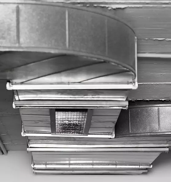 Professional Air Duct Pest Removal in Tustin, CA