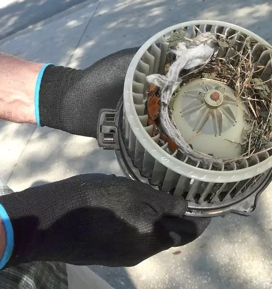 About Air Duct Rat Removal in Tustin, CA