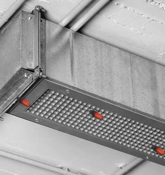 Affordable Insect Removal from Air Ducts in Tustin, CA