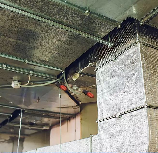 Why Homeowners & Businesses Trust Us in Tustin, CA?