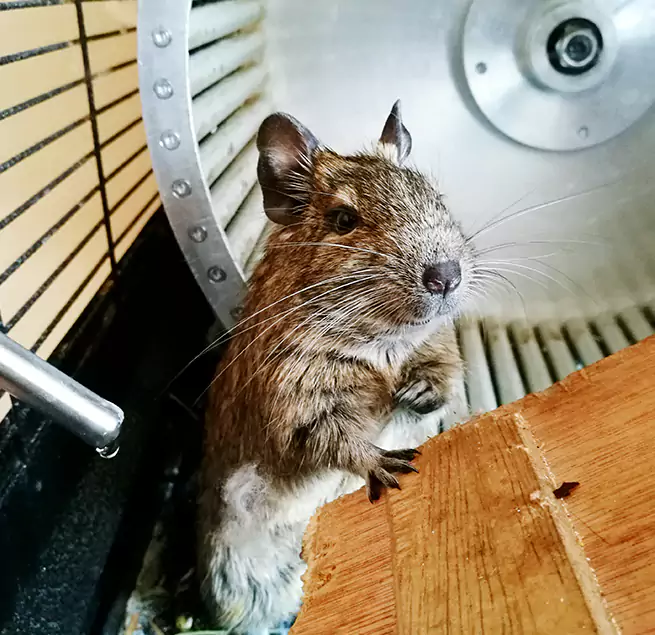 Why Homeowners & Businesses Trust Us Tustin, CA