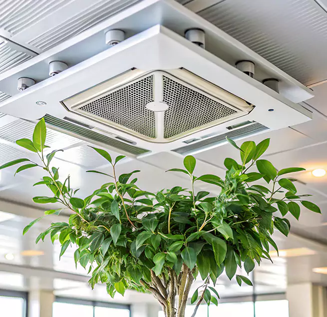 Why Homeowners & Businesses Trust Us in Tustin, CA