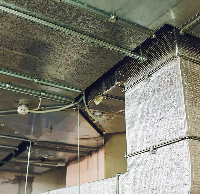 Why Homeowners & Businesses Trust Us in Tustin, CA?